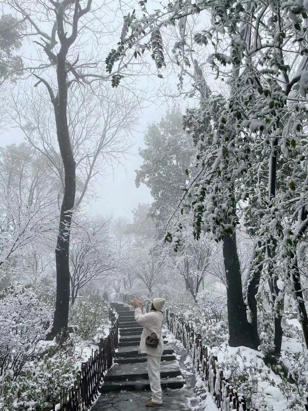 赶上长沙2022的第一场雪