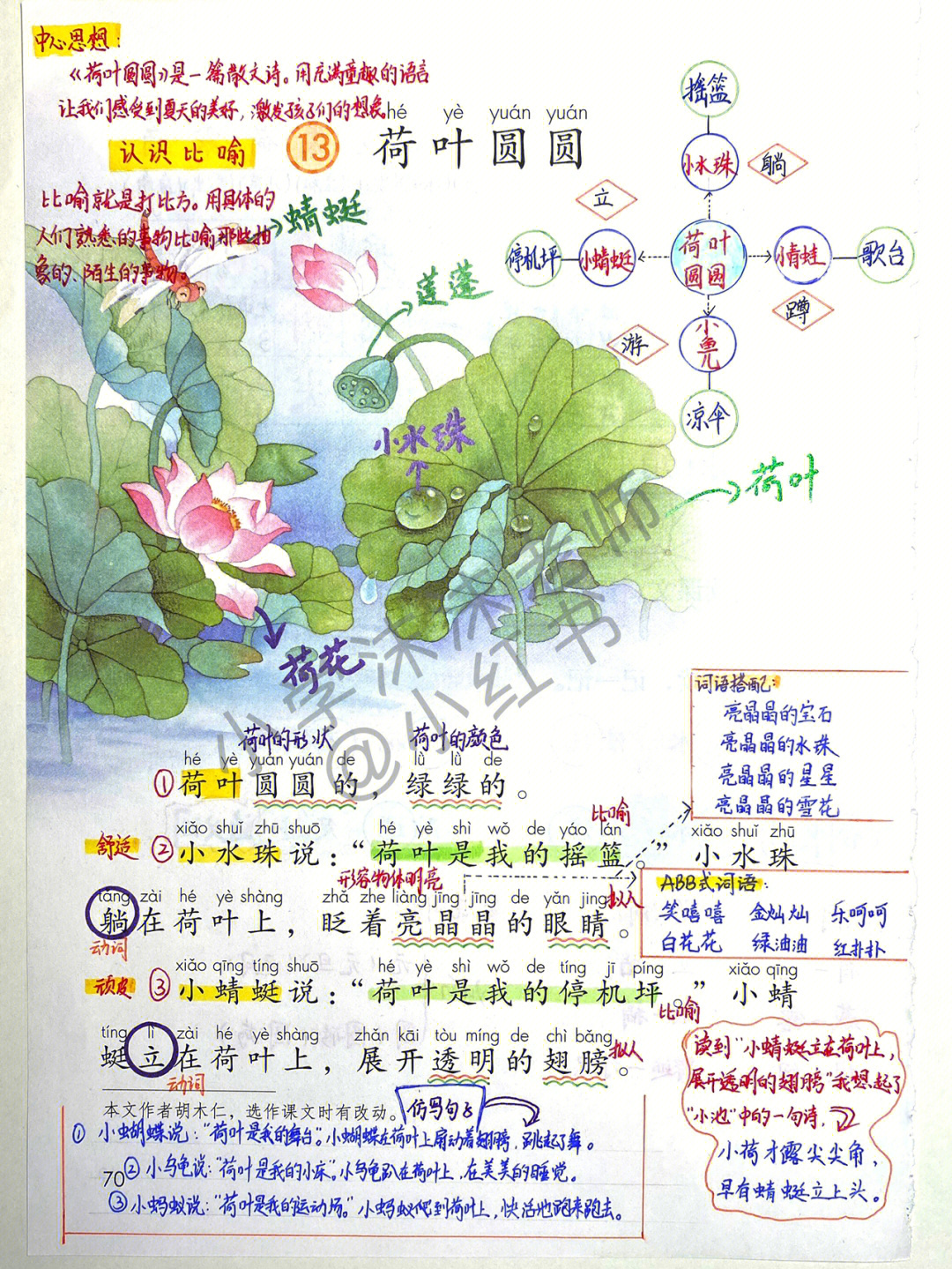 一年级语文下册荷叶圆圆重点知识总结笔记