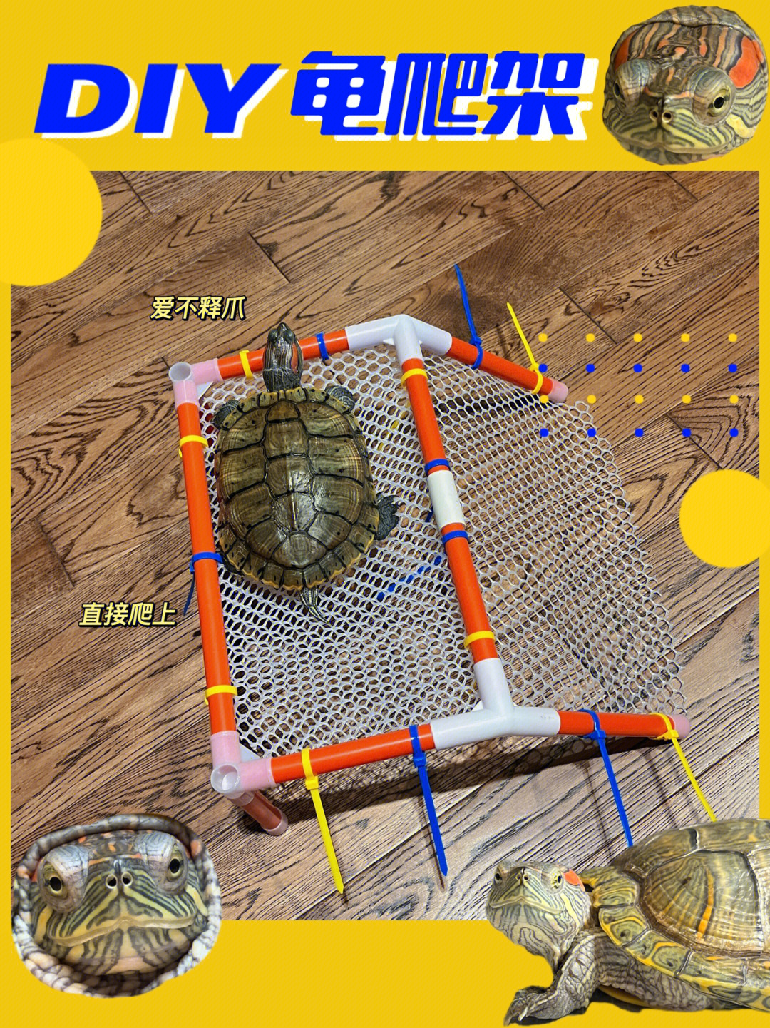 乌龟爬架制作图片