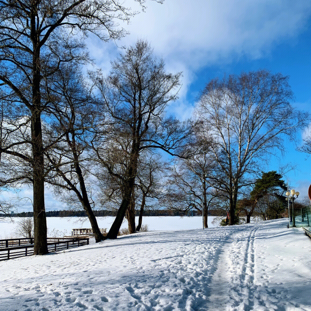 赫尔辛基的冬天绝美