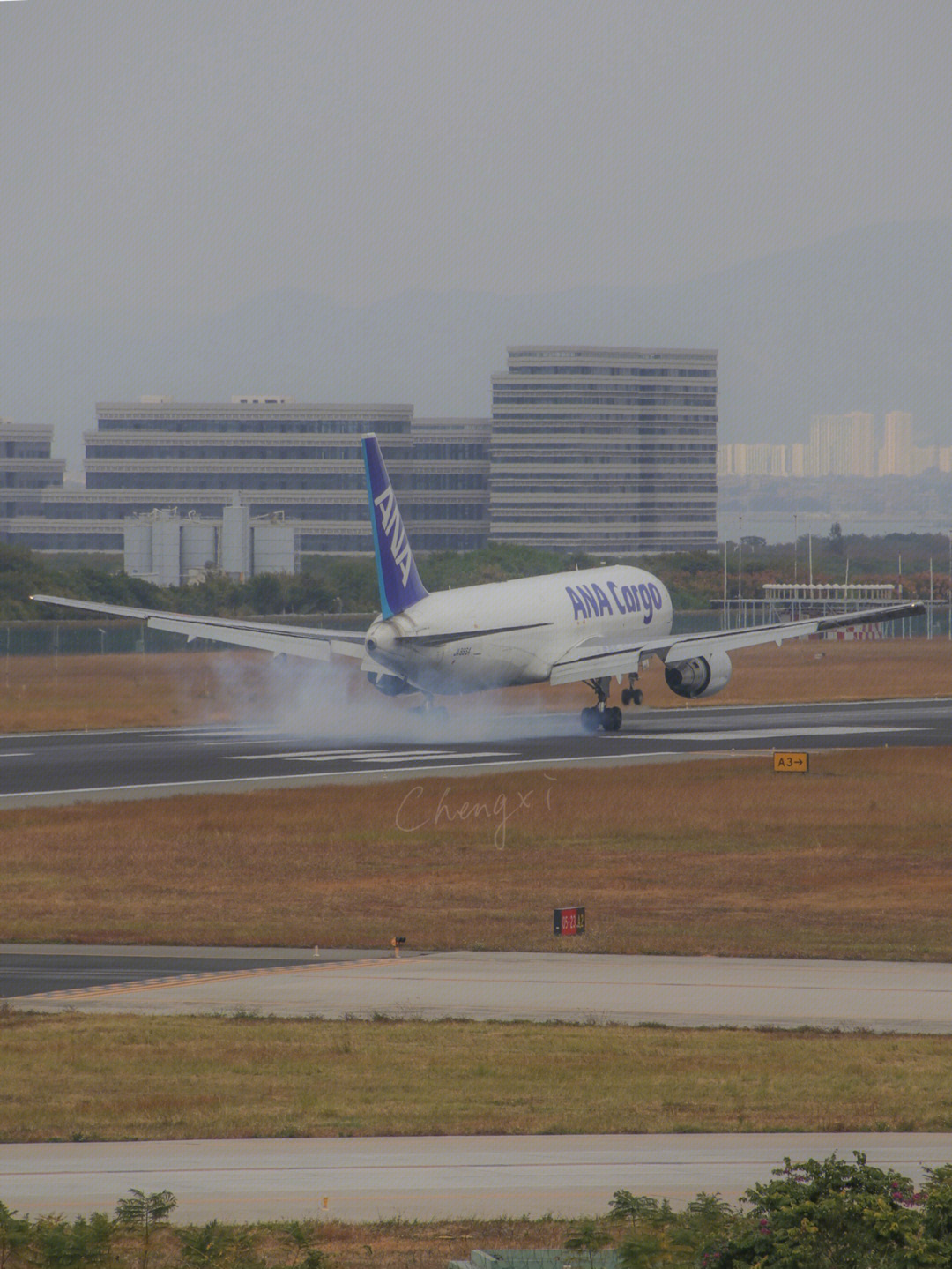 全日空航空小熊图片