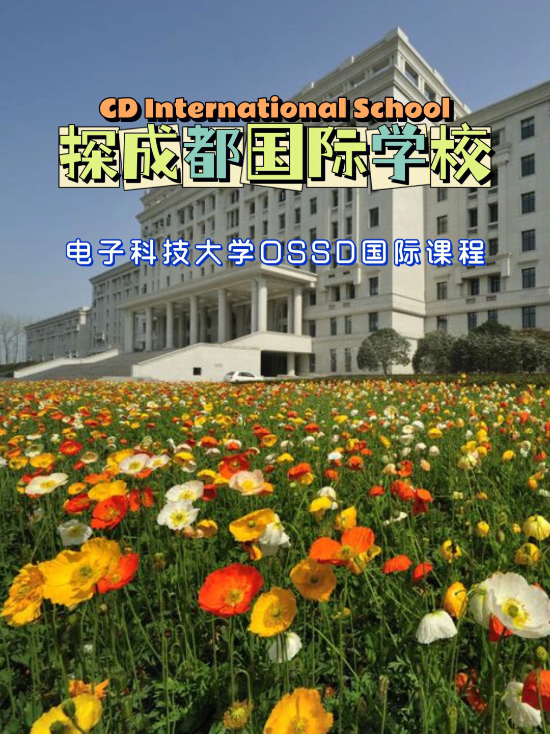 成都私立大学图片