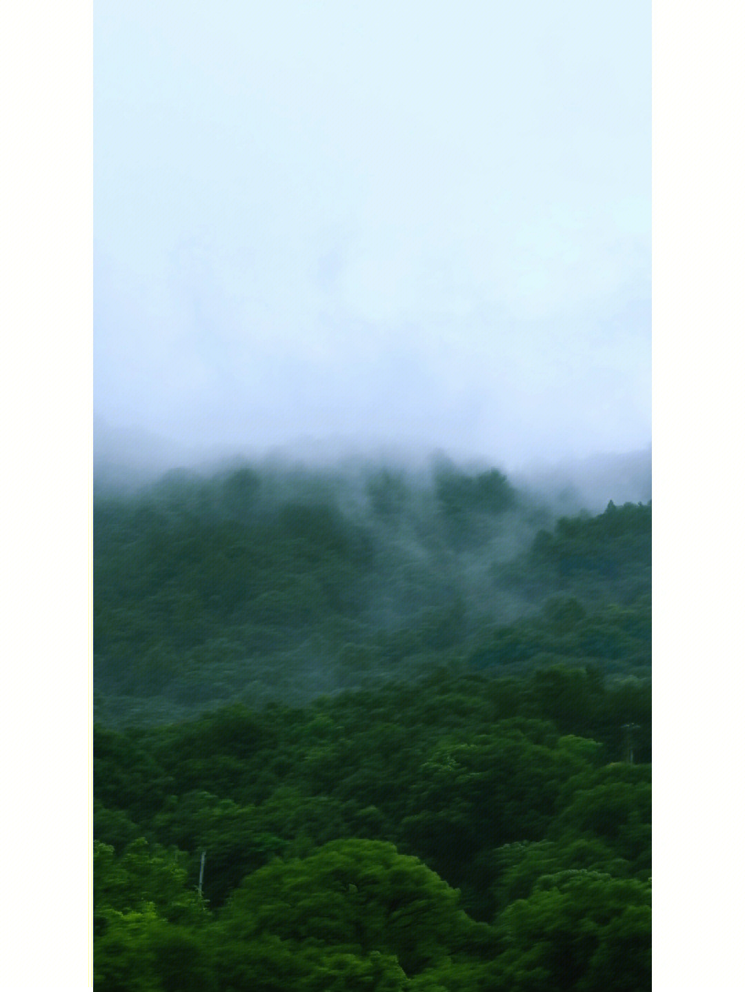 空山新雨后