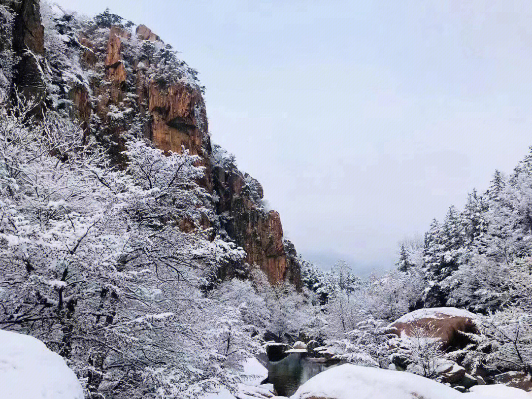 崂山雪景767676