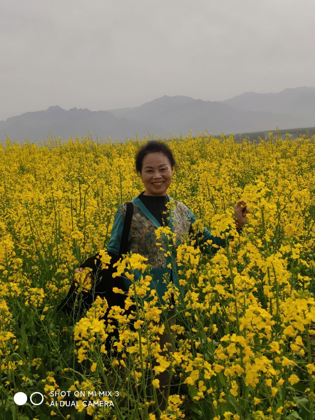 赤坭蓝田村油菜花图片