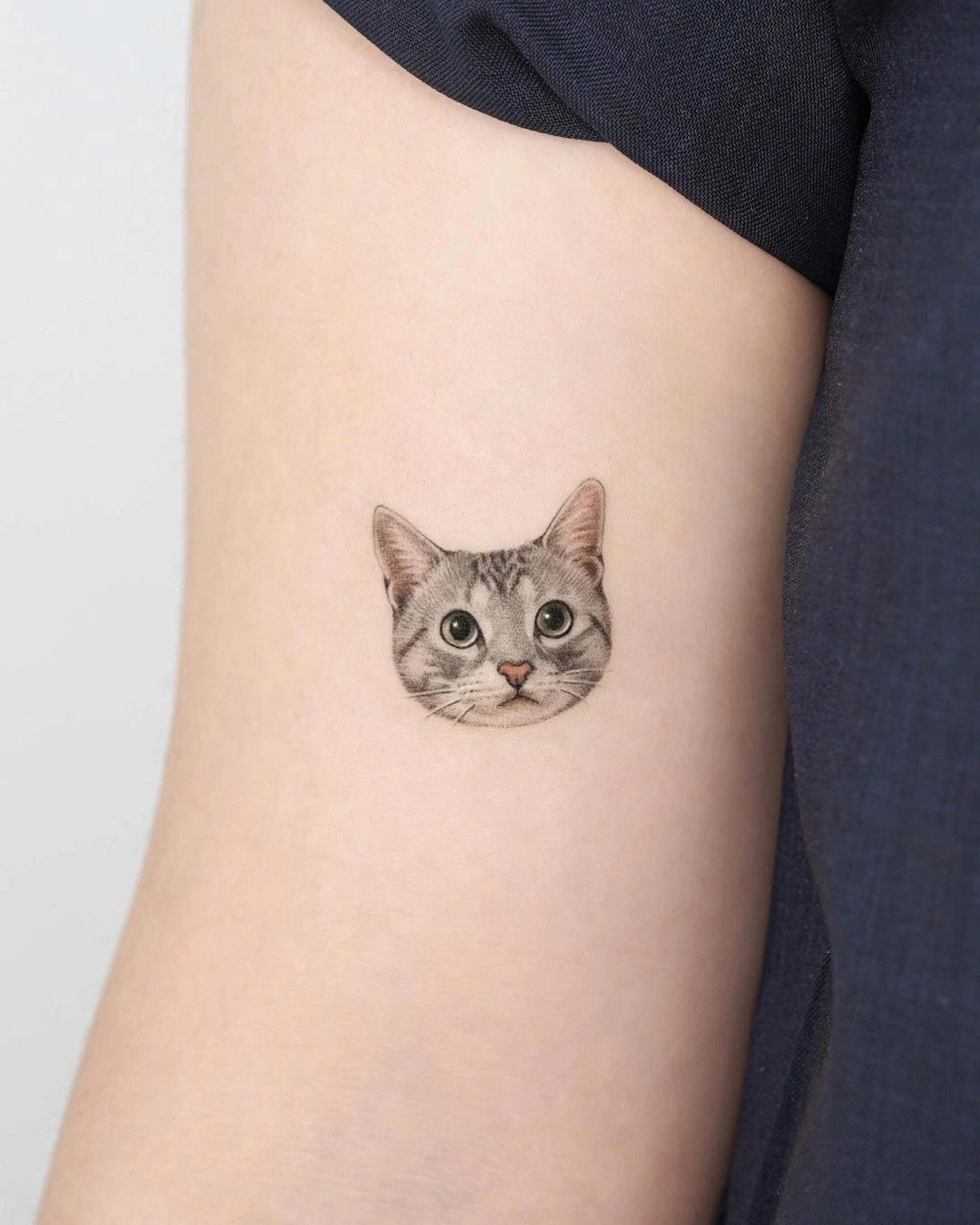 小猫纹身图案女简单图片