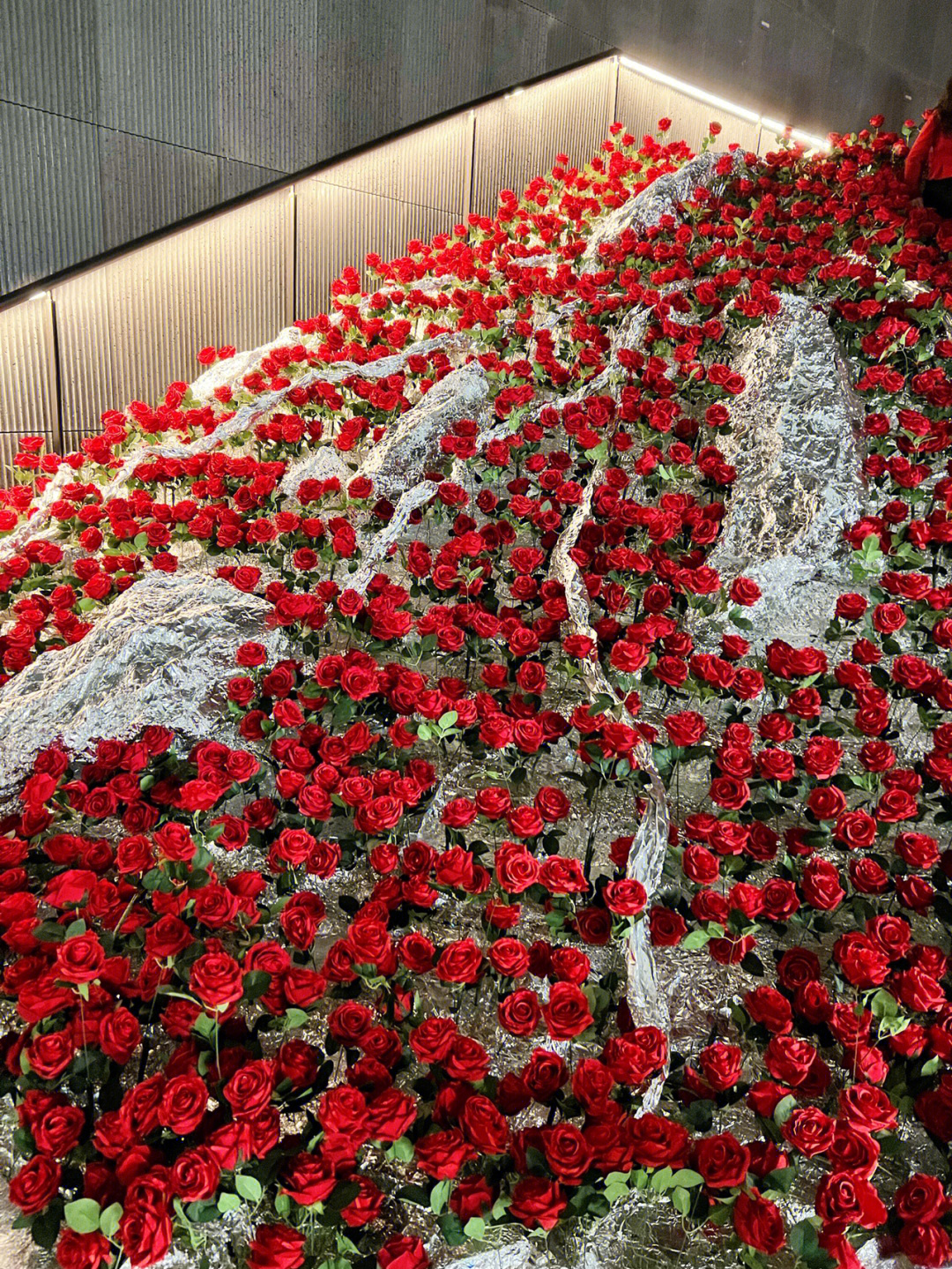 冰川玫瑰北京图片