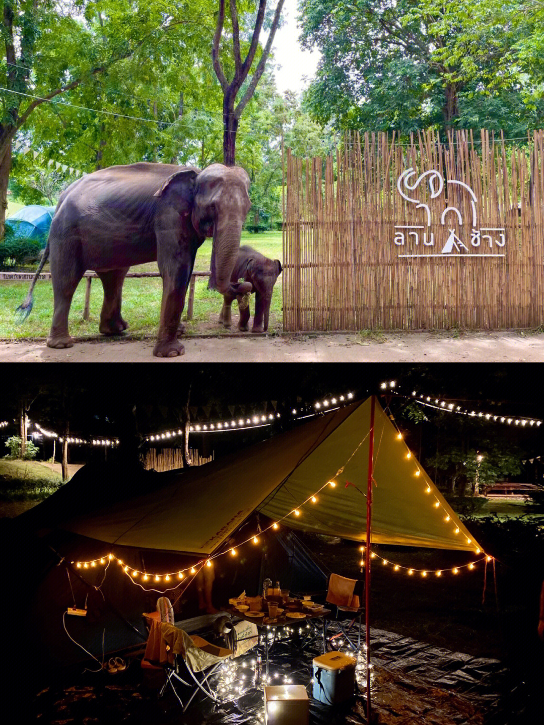 泰国北碧独一无二的大象露营地