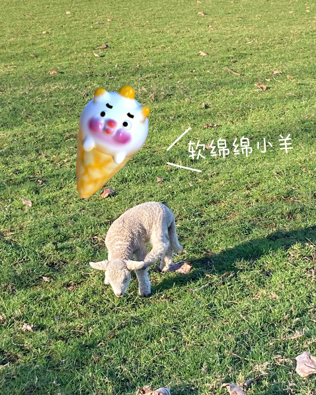 我的小羊动画解析图片