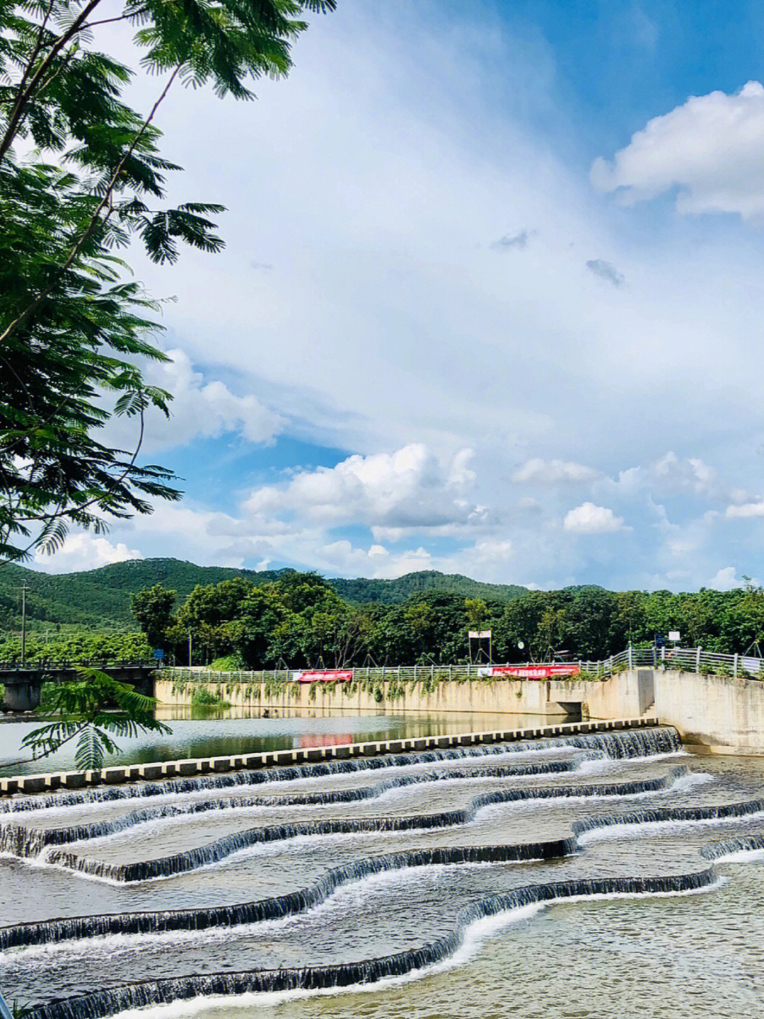 鹤山五星村