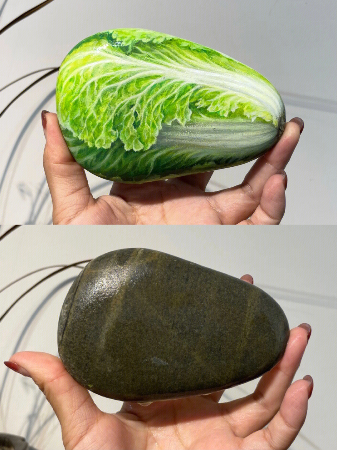 石头画成白菜
