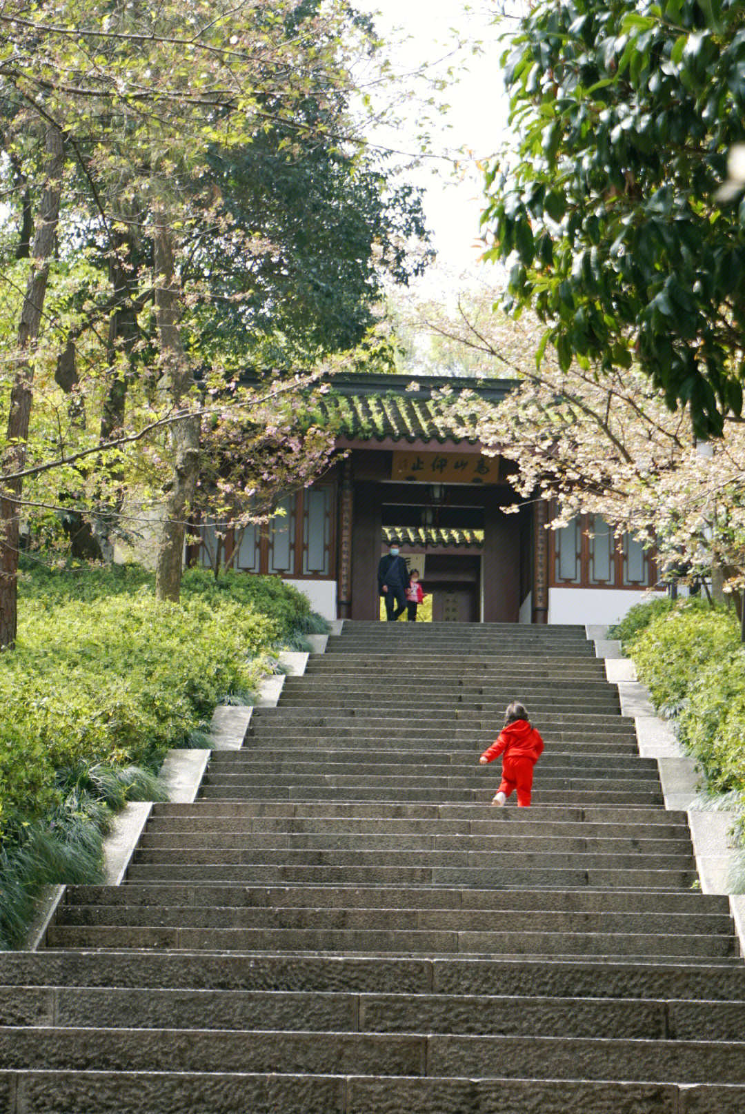 万松书院简介图片