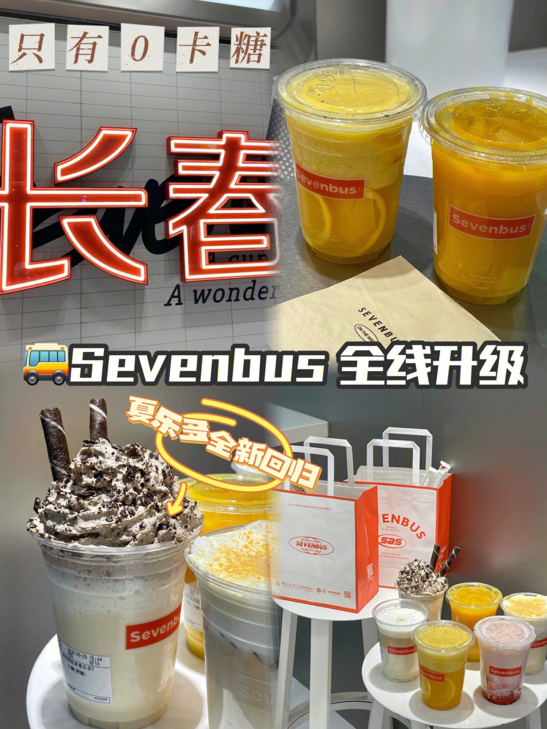 sevenbus创始人图片