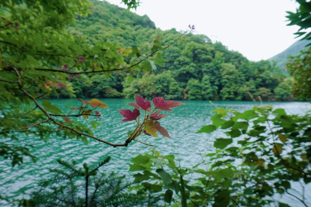 象山方家岙水库美景图片