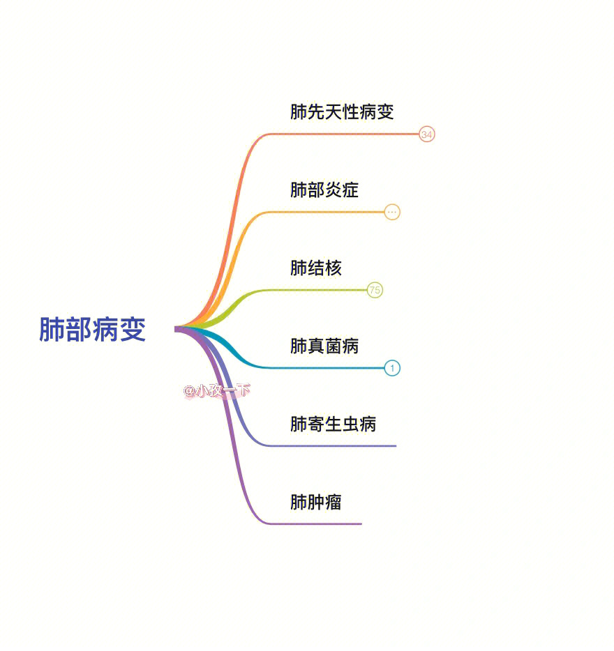 肺隔离症 先天性图片