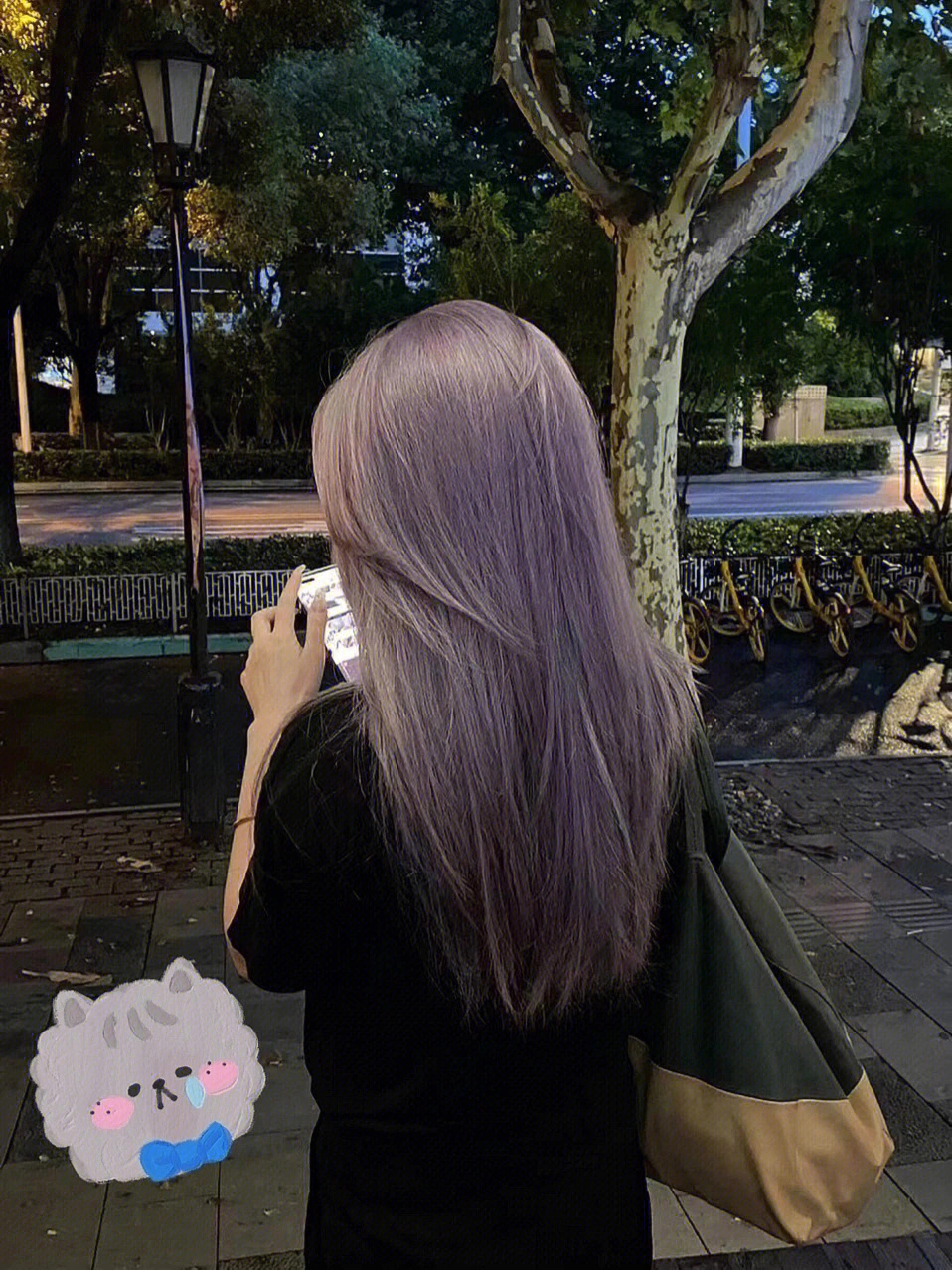 夏季流行发色紫灰色