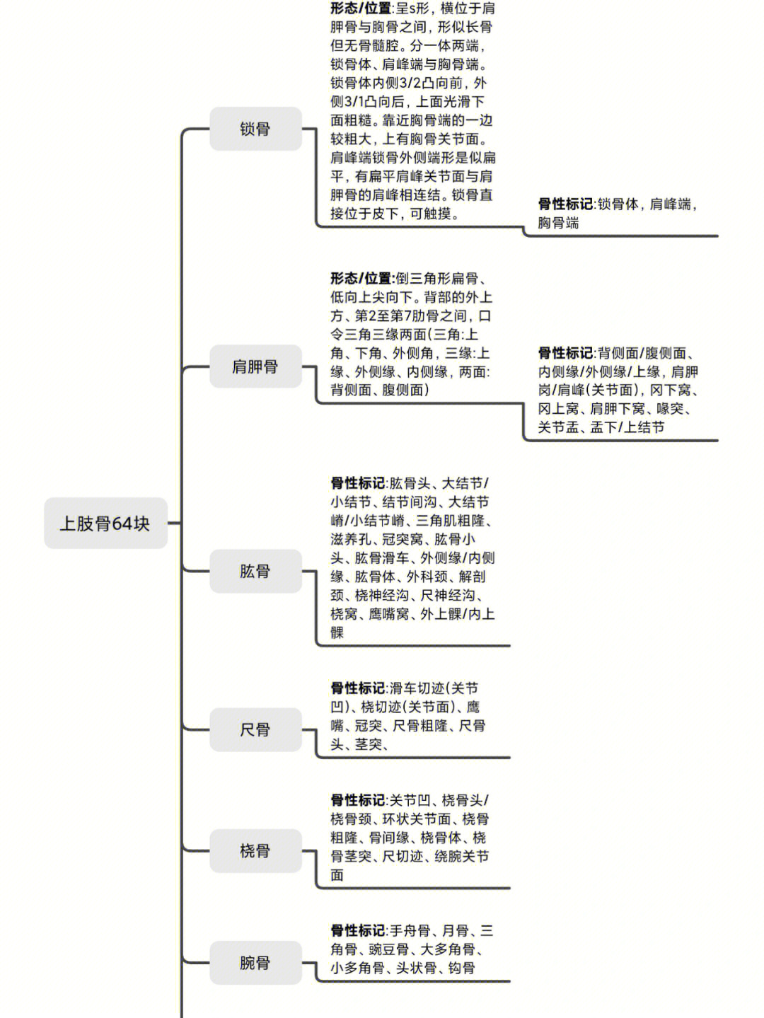 骨标志物三项临床意义图片