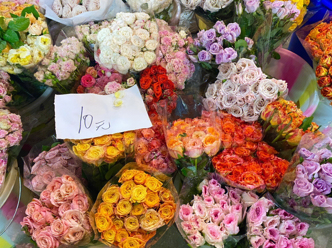 成都万福花卉市场图片