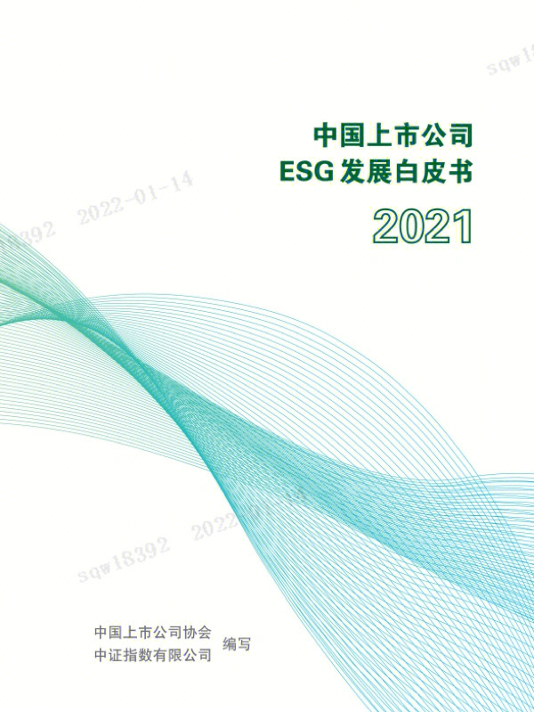 重磅报告中国上市企业发展白皮书2021