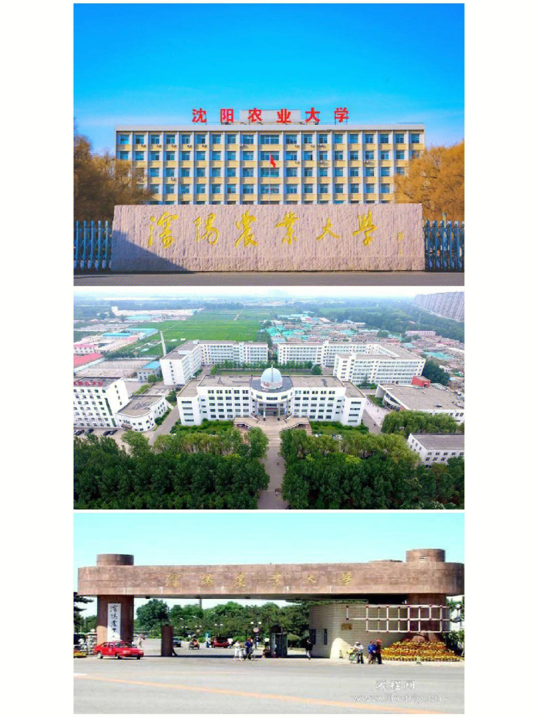 沈阳农业大学位置地图图片