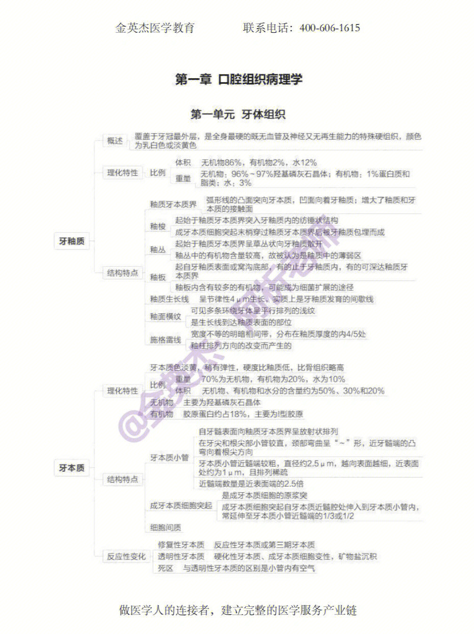 口的思维导图生字版图片