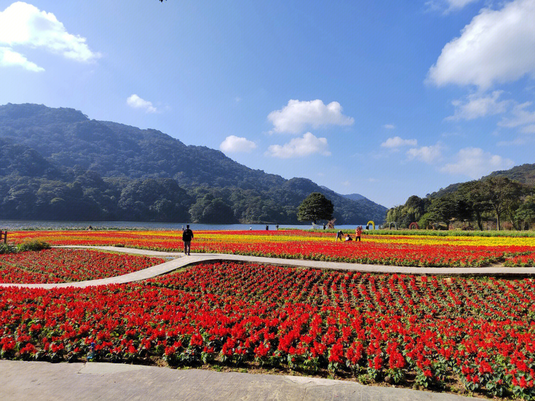 从化石门森林公园