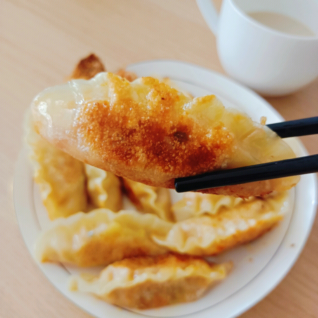 电饼铛菜谱王饺子锅贴