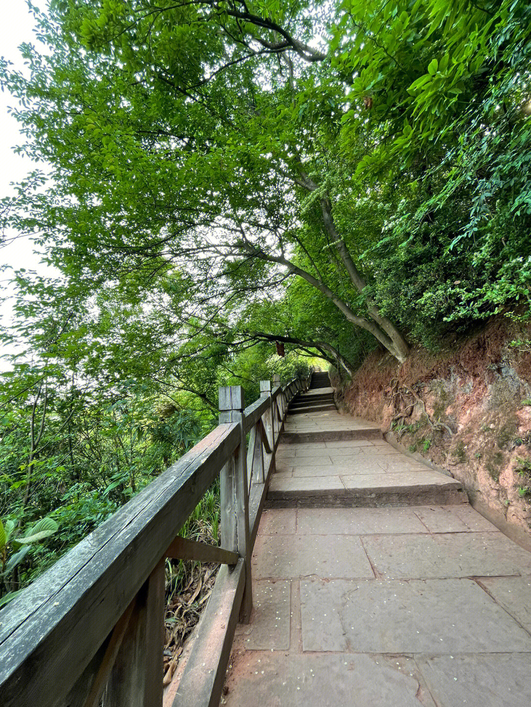 龙泉驿紫霞山图片