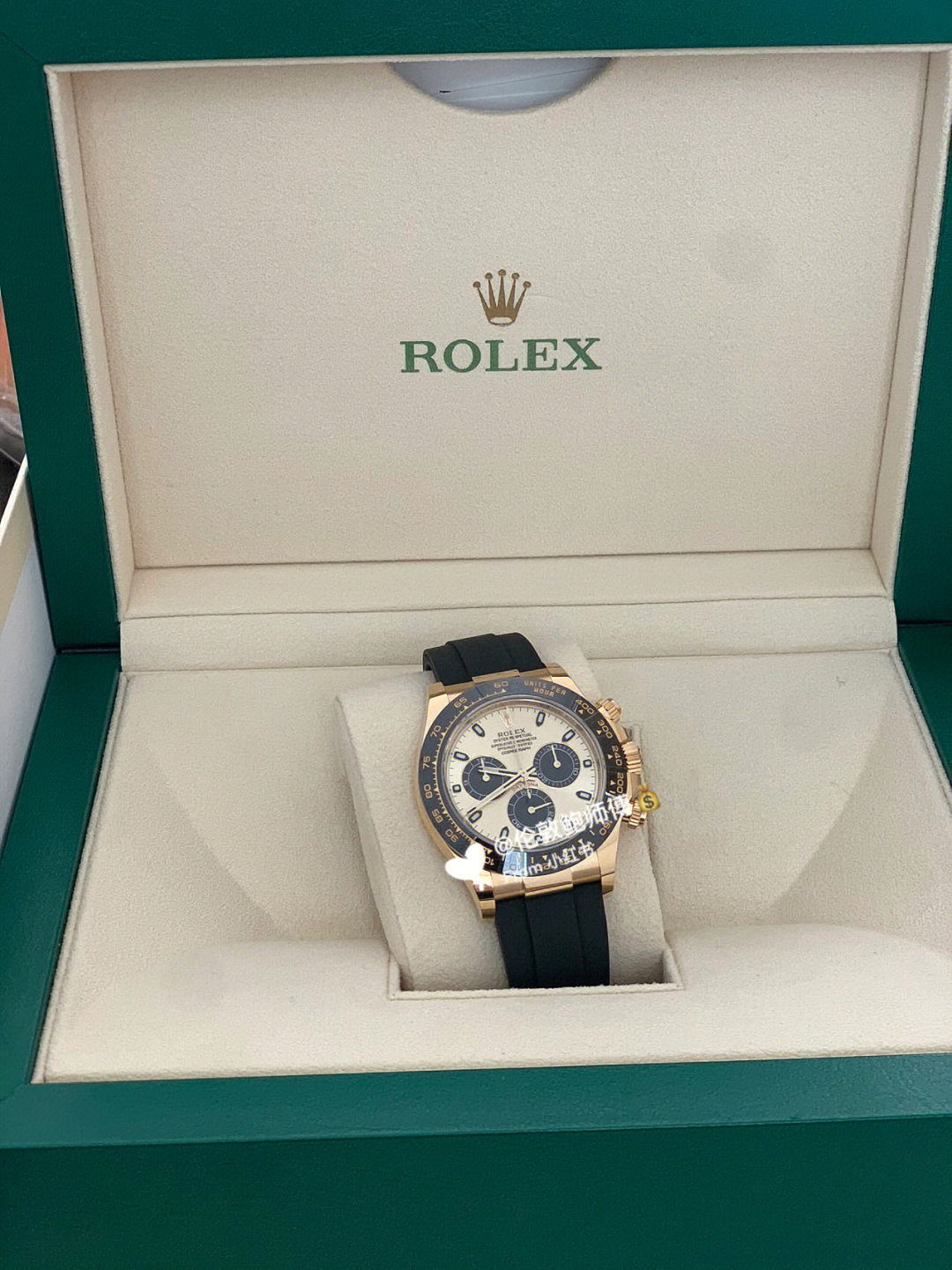 rolexsa图片