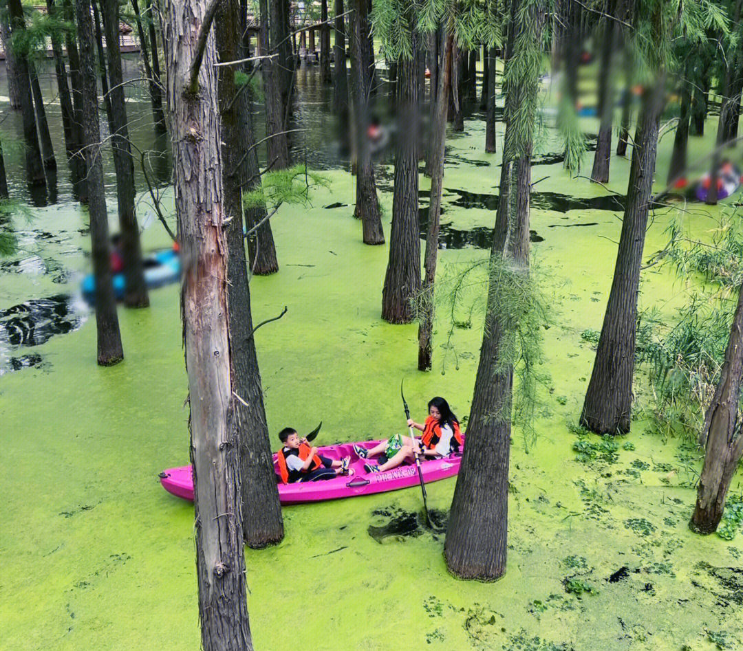 杭州亲子游景点排名图片