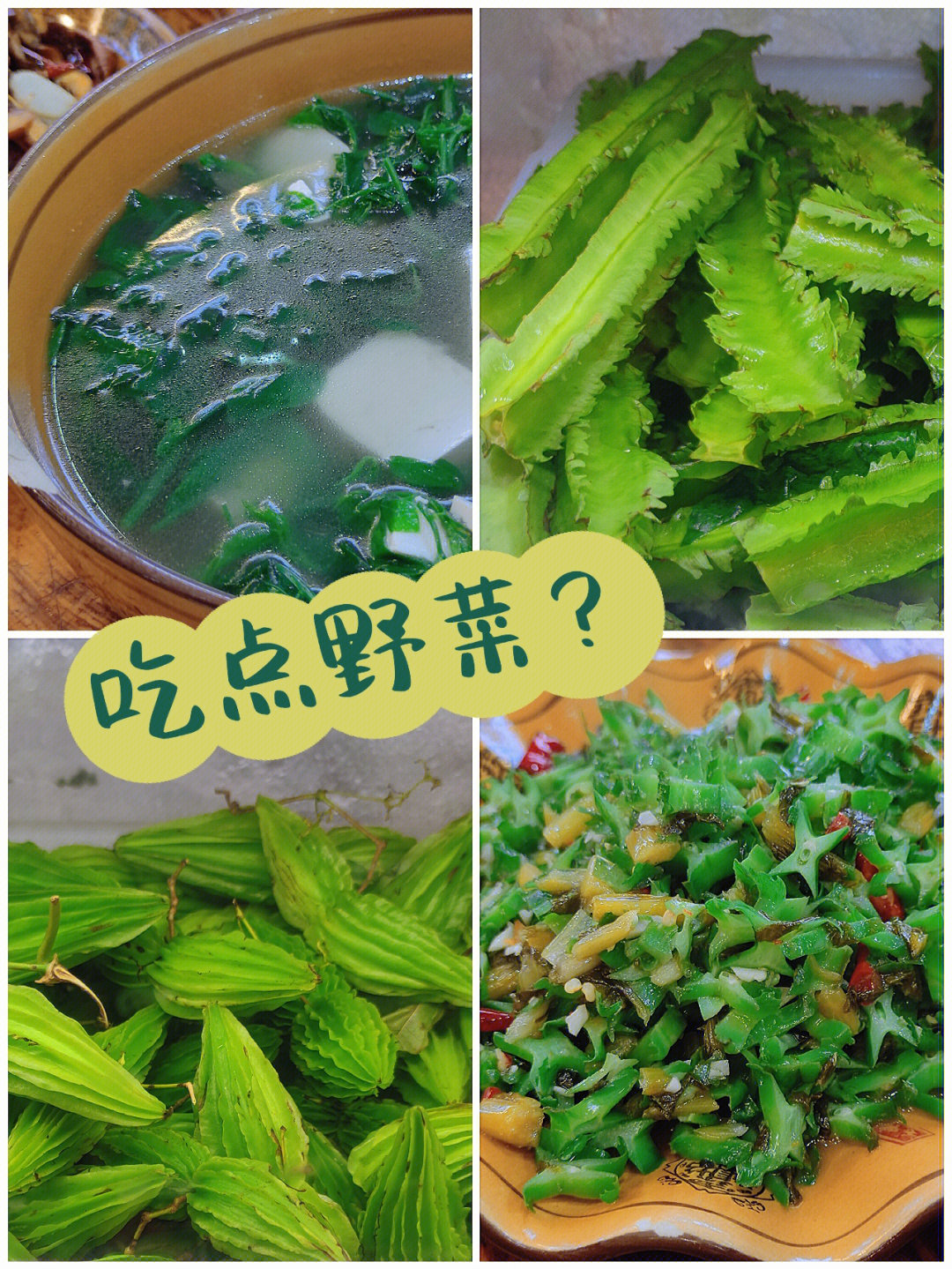 野菜蘑菇丁的图片图片