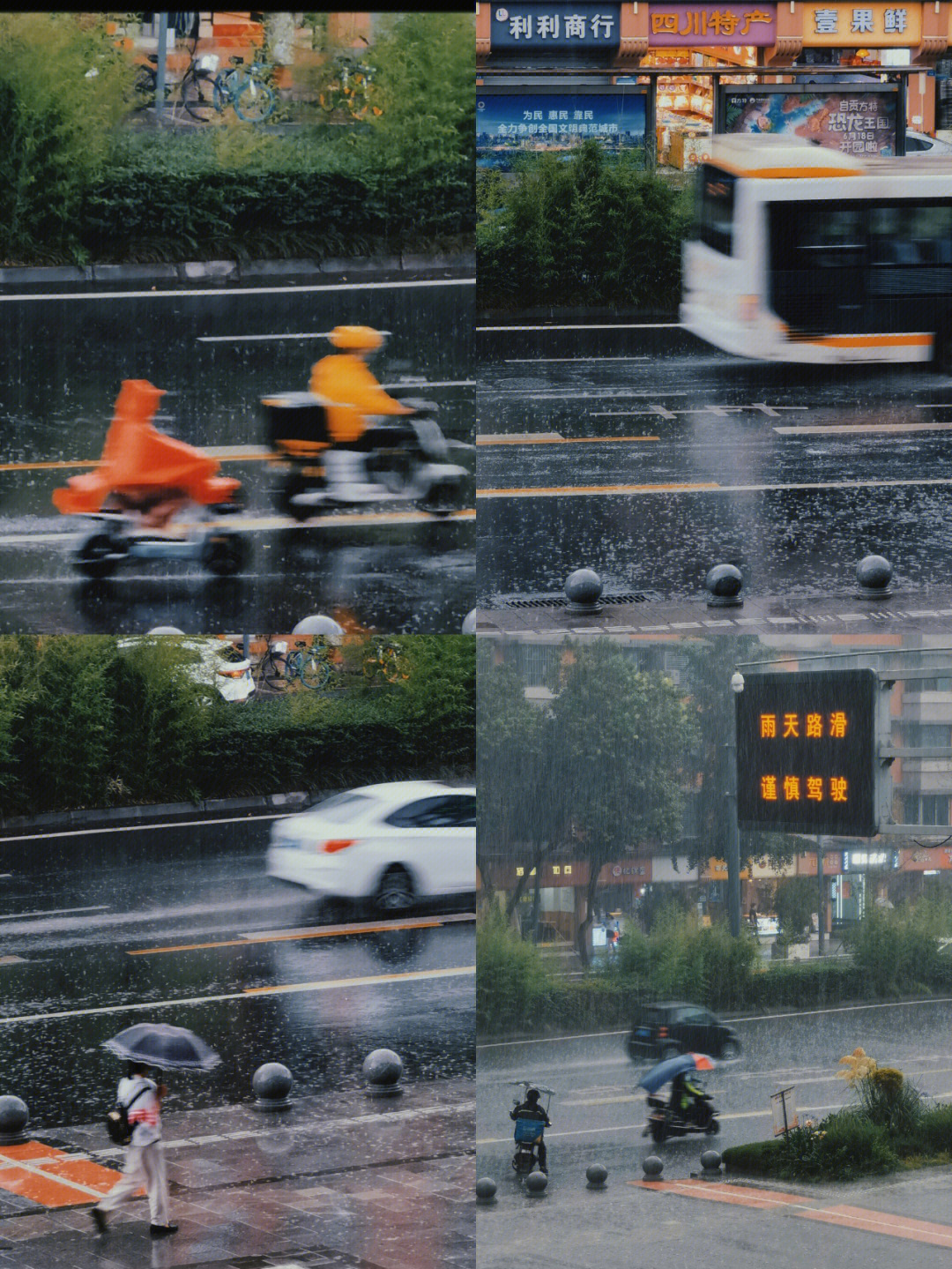 奔波 风雨中图片