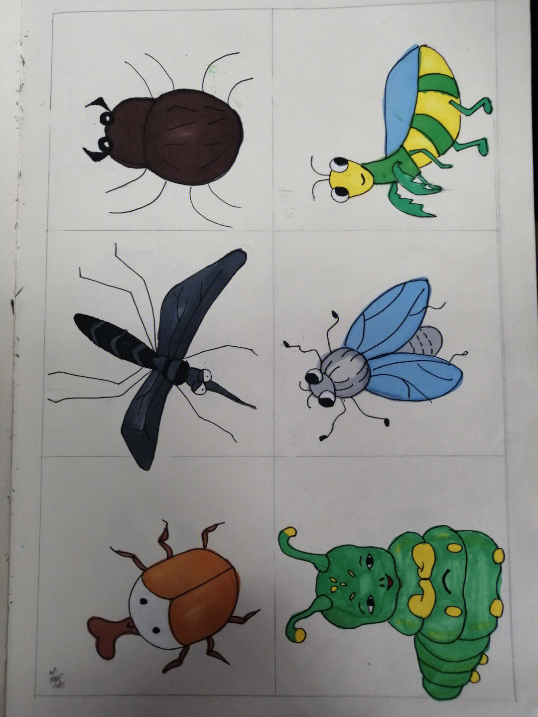 昆虫简笔画家族图片