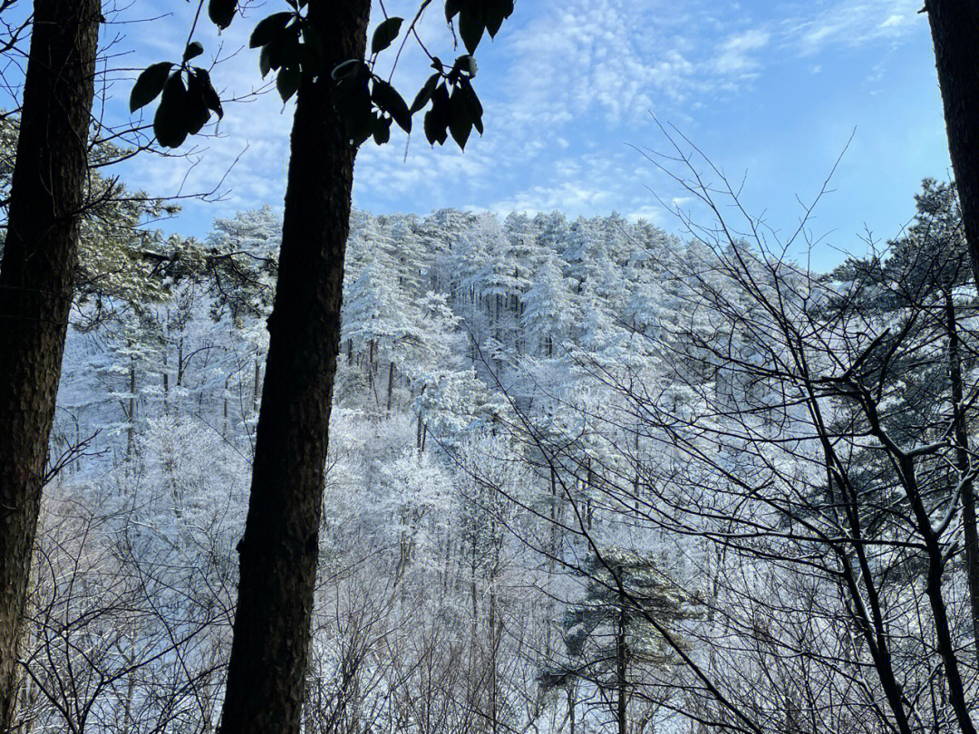 雪后的大明山