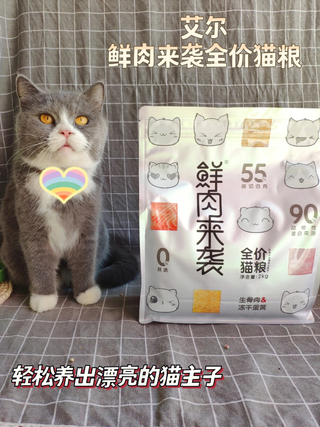 艾尔猫粮曝光图片