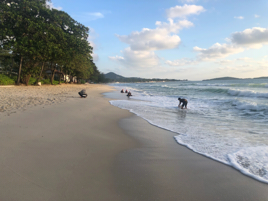 泰国苏梅岛查汶海滩被狗狗占领快乐