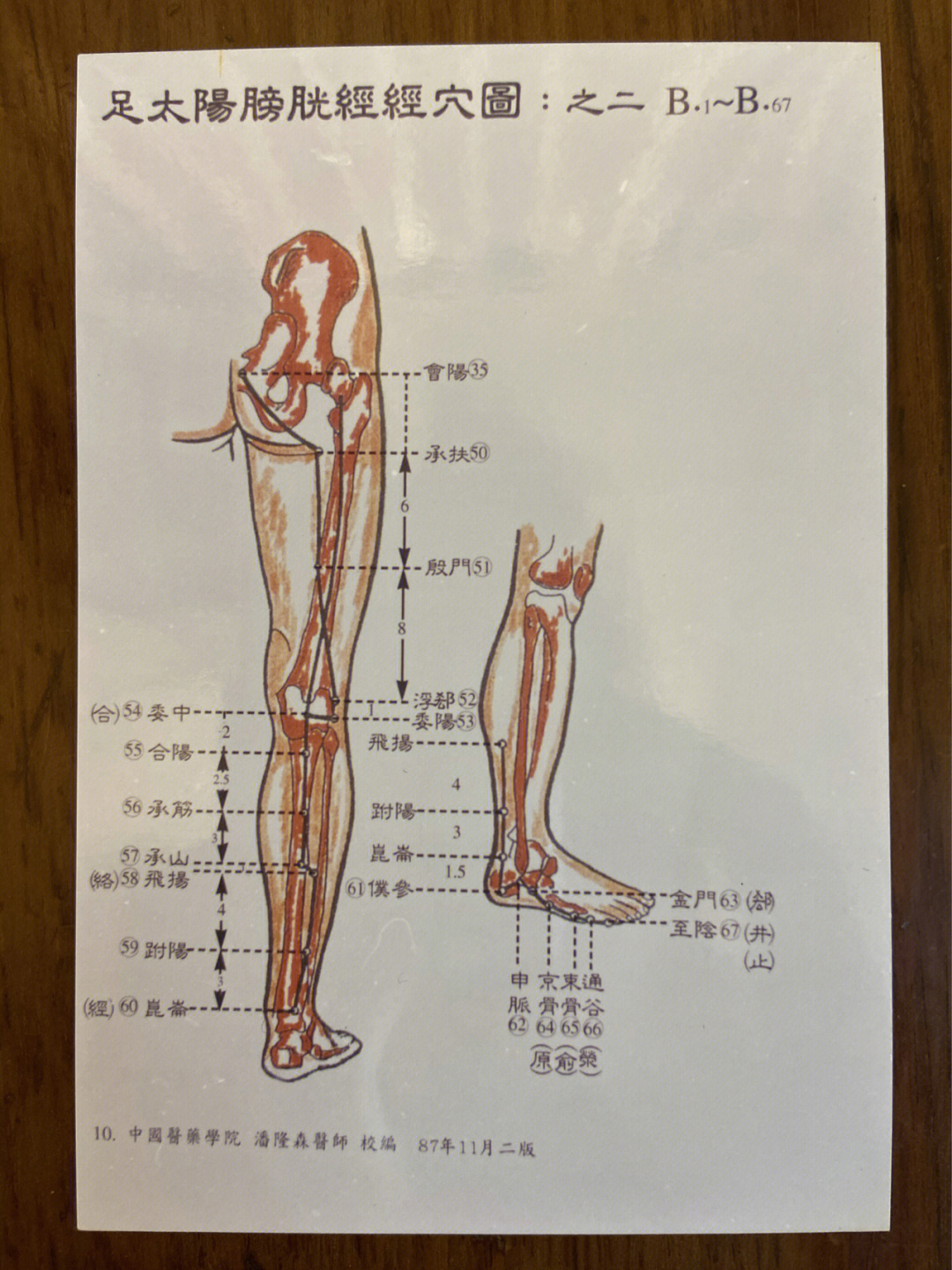 大腿酸痛的按摩手法图图片