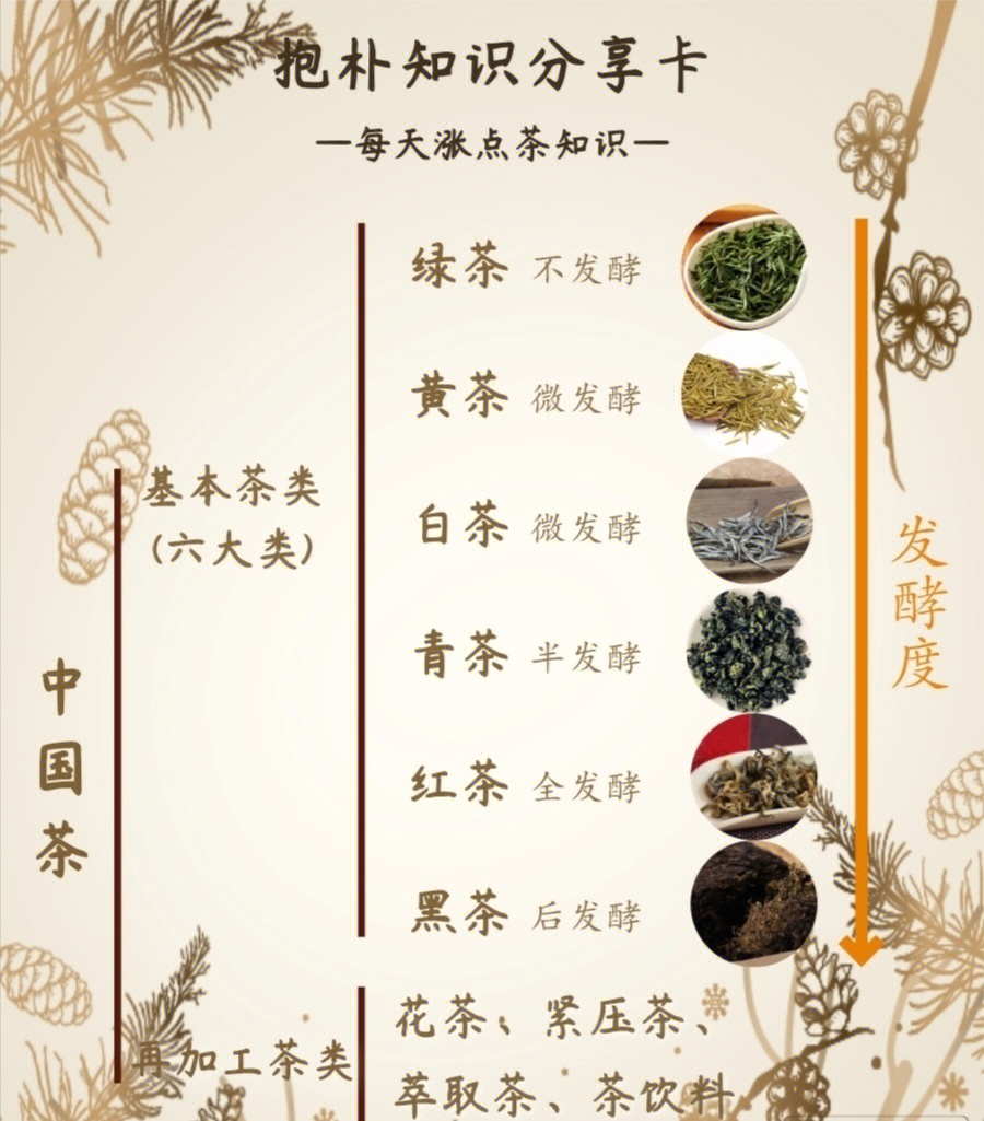 中国茶文化图片及简介图片