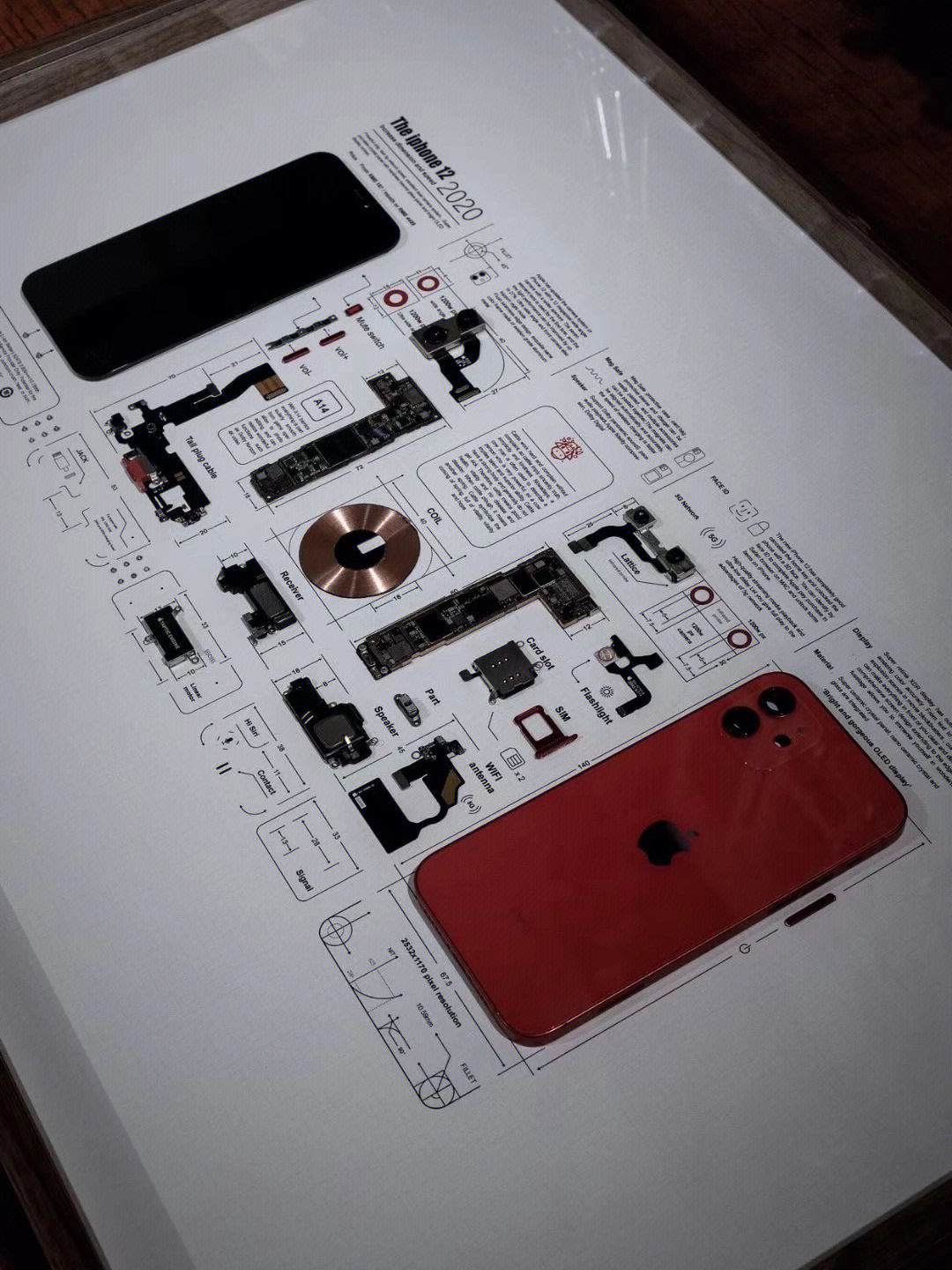 iphone12mini拆机图解图片