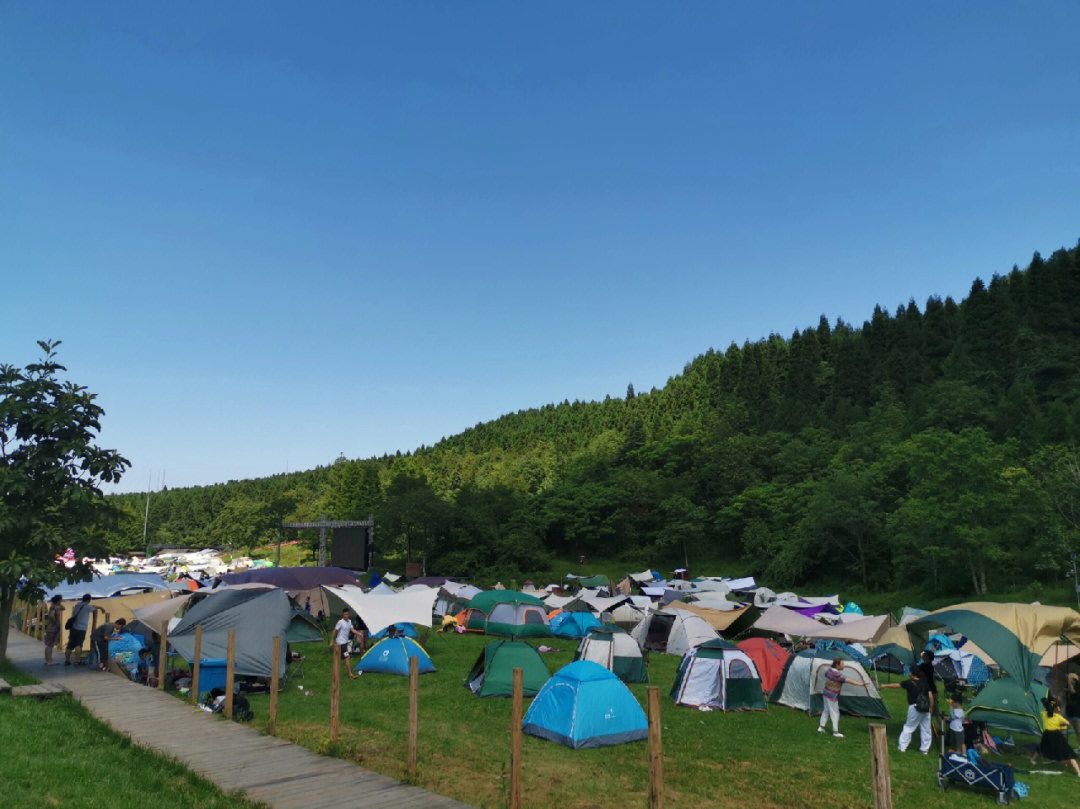 重庆露营武陵山森林公园追星空