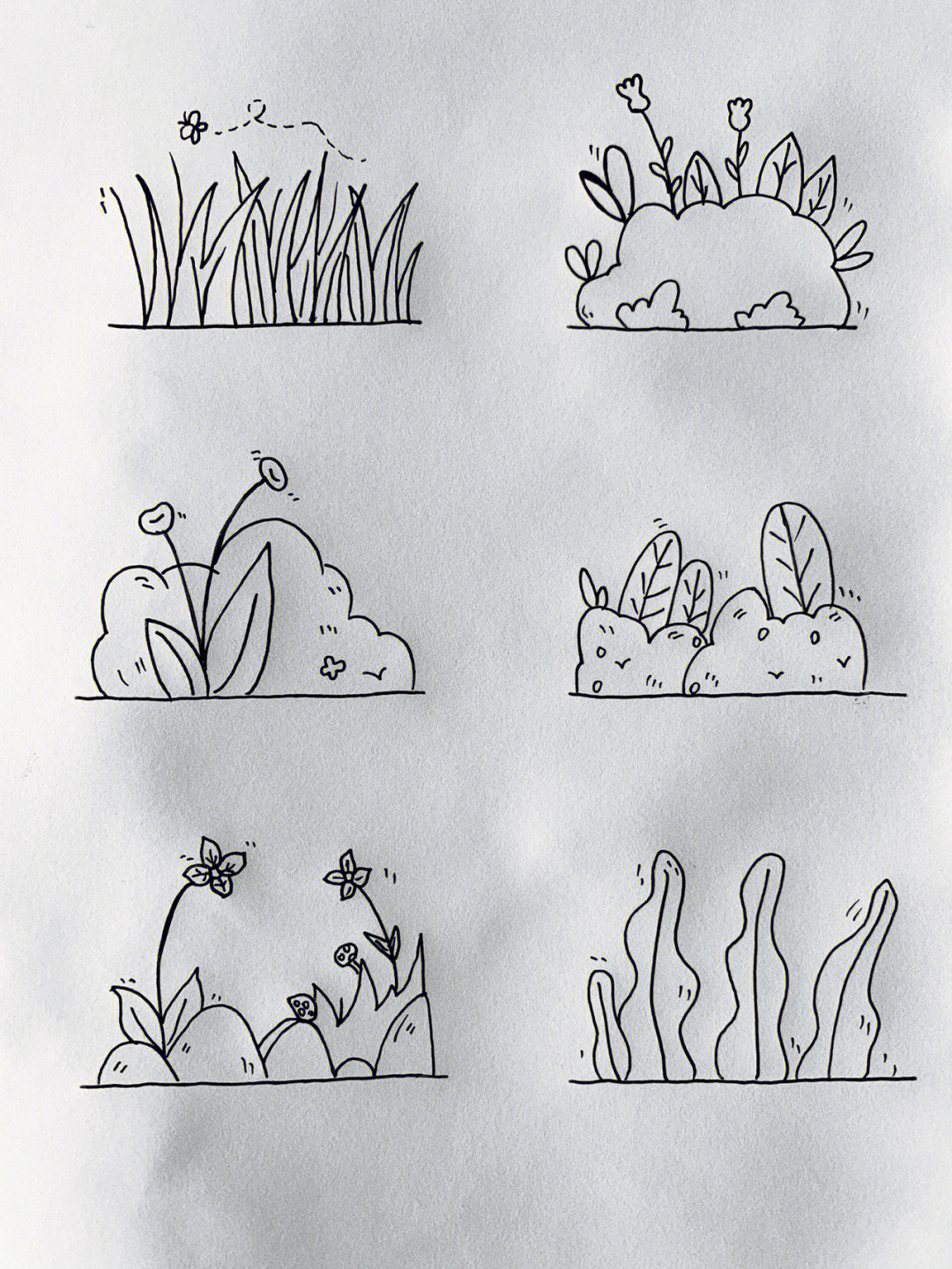 草丛的简笔画 小动物图片