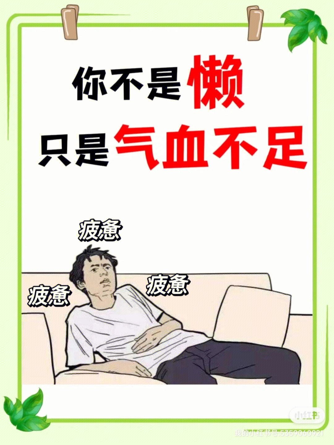 你可能不是懒而是气血不足