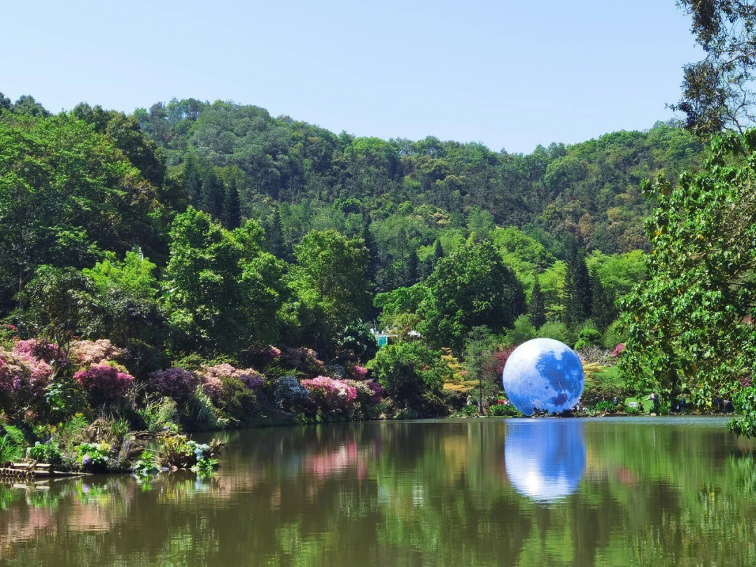 深圳仙湖植物园预约图片