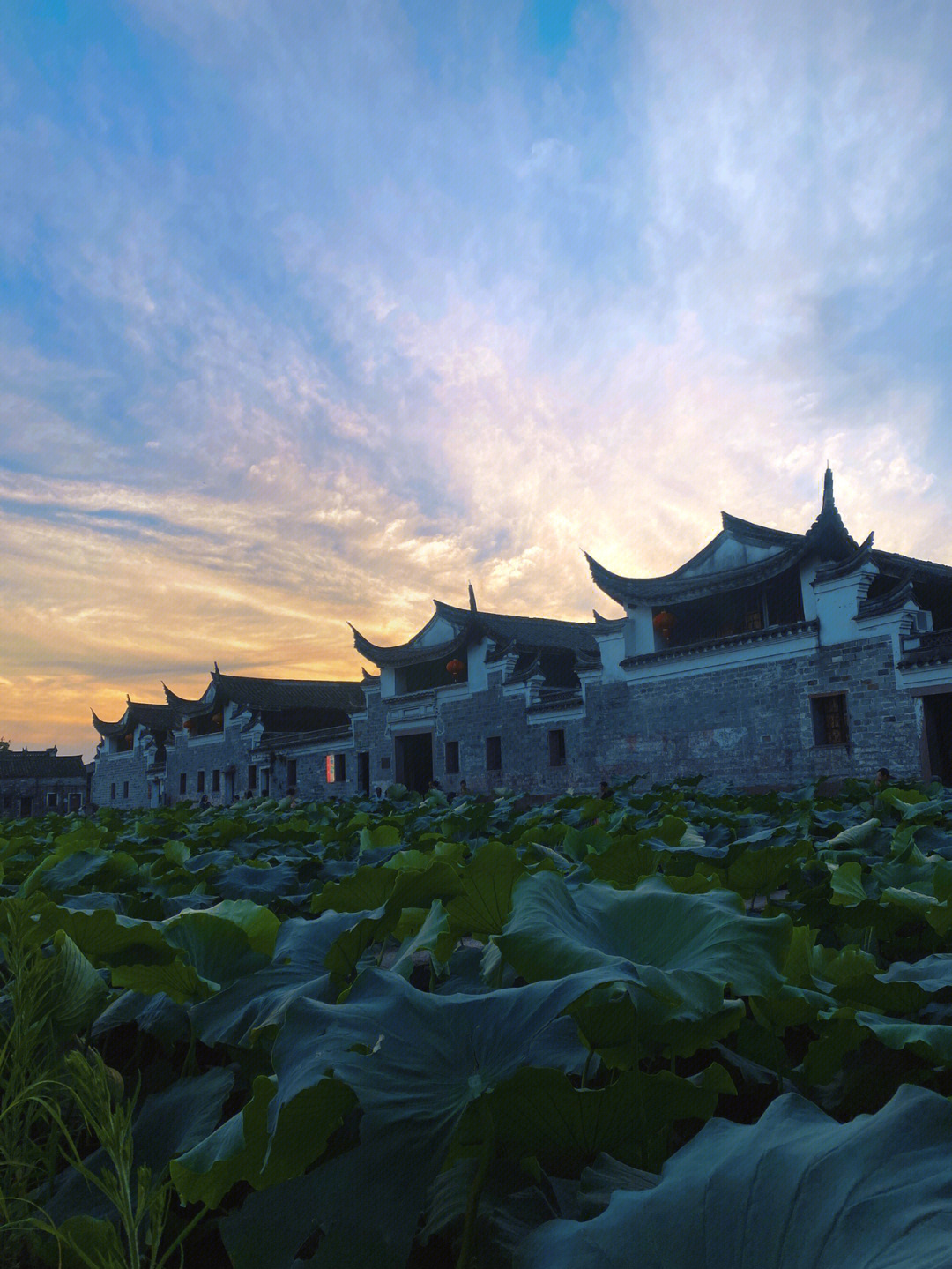 宁波姜山旅游景点图片