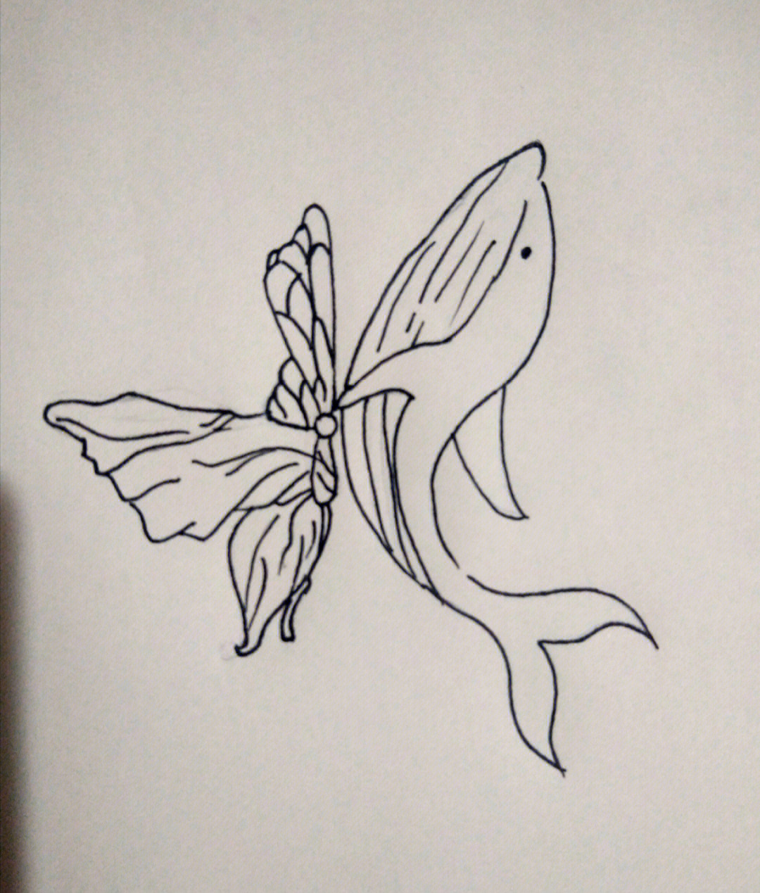 蝴蝶的一生绘画教案图片