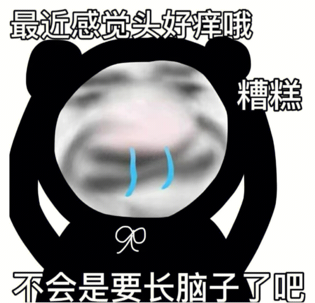 熊猫头表情包丨不会是要长脑子了吧08