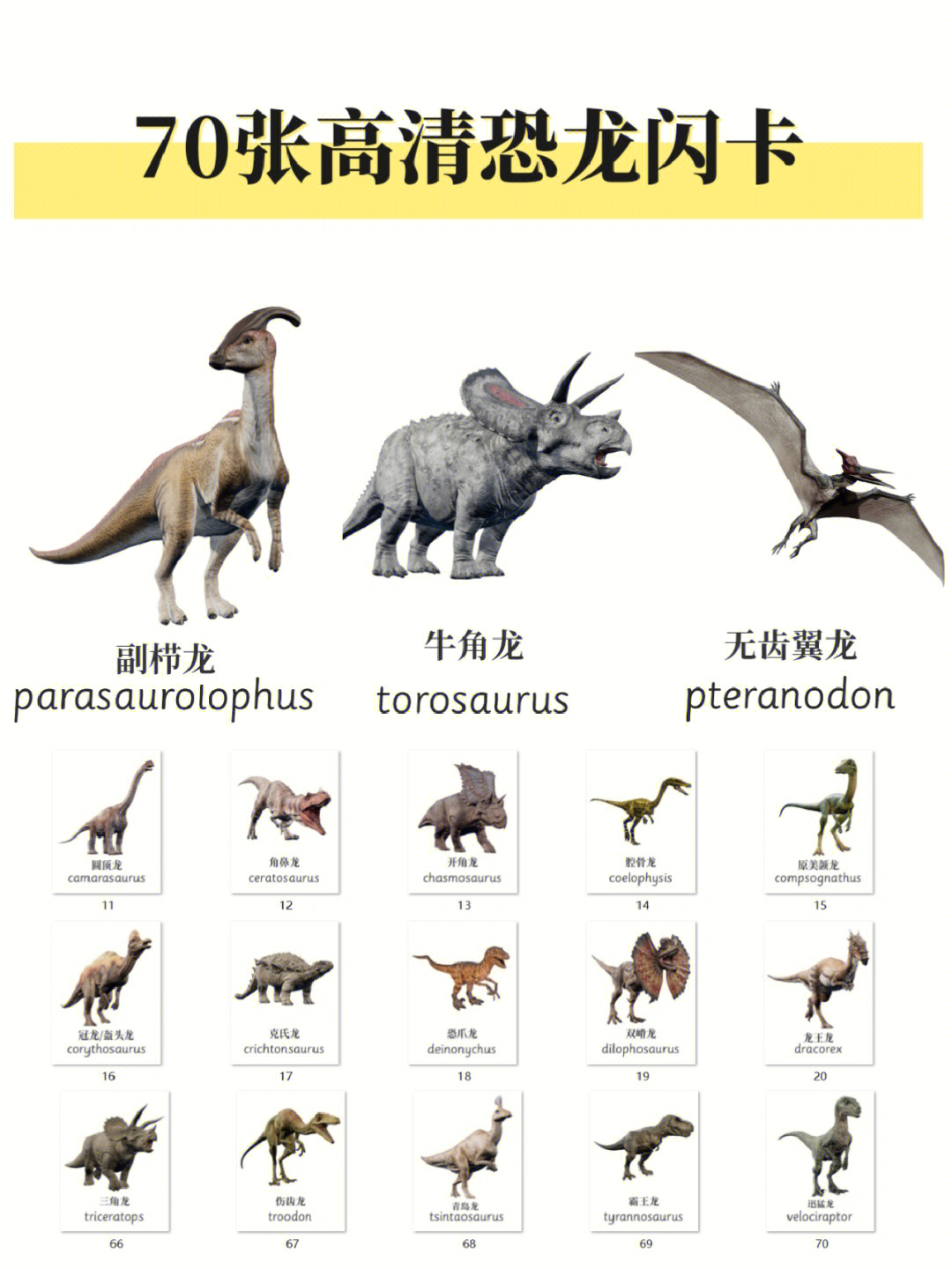 食草恐龙的名字图片