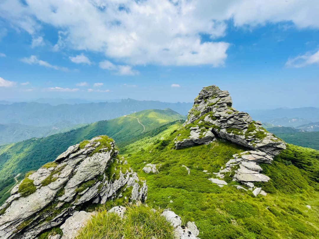 光头山狮子头图片