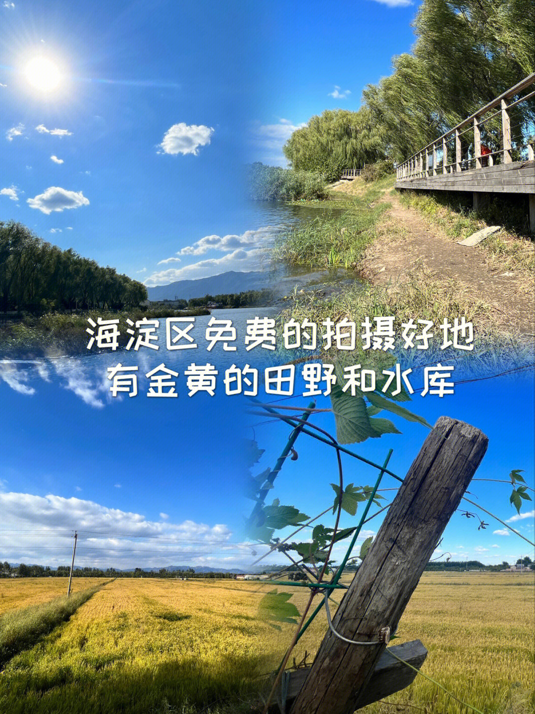 箬横镇常乐村规划图片