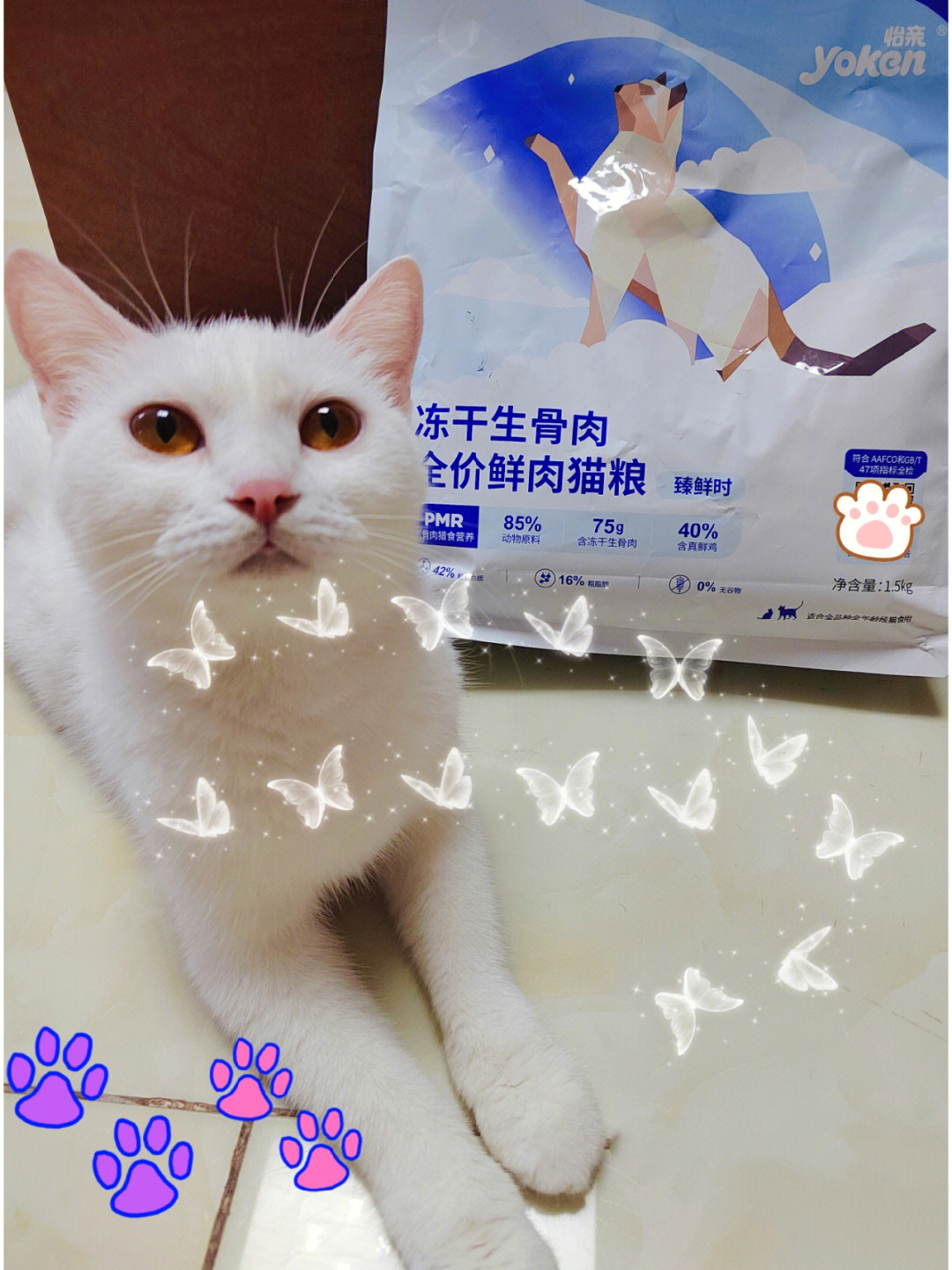 国产老牌猫粮墙裂推荐